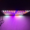 图片 Đèn trồng cây MDA225A, Đèn led trồng rau trong nhà, Led grow light