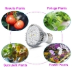 Picture of Đèn trồng cây, Đèn led trồng rau trong nhà, Led grow lights (30W, E27)