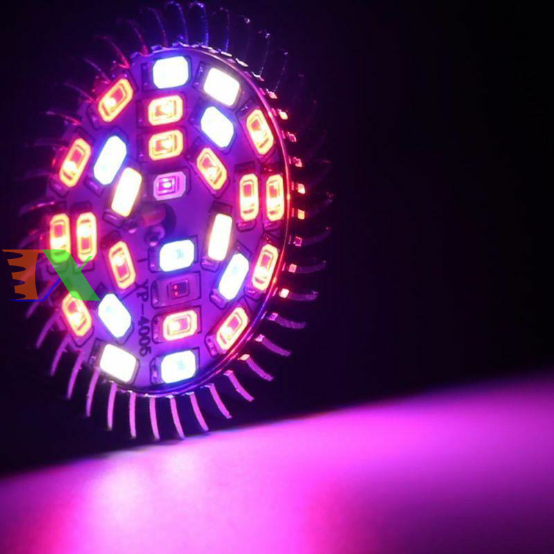 Led trồng cây (28W, E27)