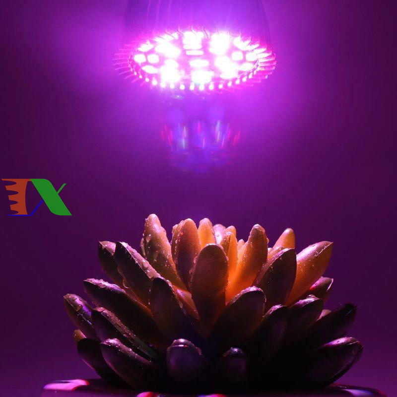 Led trồng cây (28W, E27)