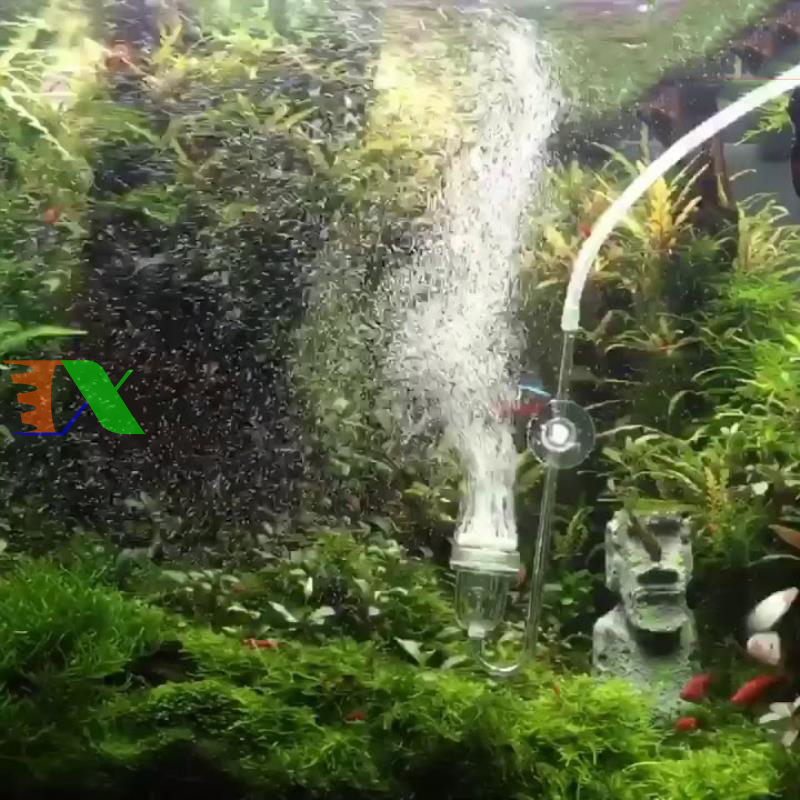 Máy sục khí SB-248A (Máy thổi ô xy)