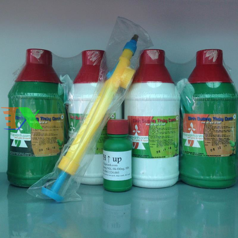 Bình xịt tưới khí nén (nhựa)