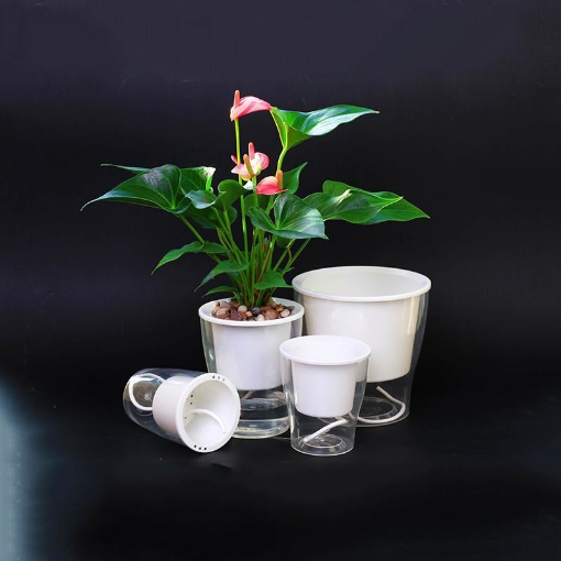 รูปภาพของ Chậu 2 lớp trồng Hoa Cây cảnh để bàn W03, Bể 2 đáy chứa nước nuôi cá, Cốc trồng cây tự hút nước