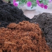 รูปภาพของ Mùn xơ dừa trồng rau (kg), Mùn dừa trồng cây, Cám mụn sơ dừa ươm hạt giống