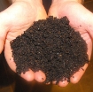 รูปภาพของ Phân Trùn Quế OSG, Phân vi sinh hữu cơ, Phân giun quế trồng rau