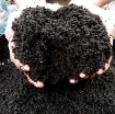 รูปภาพของ Phân Trùn Quế OSG, Phân vi sinh hữu cơ, Phân giun quế trồng rau