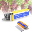รูปภาพของ Ghim thép cho máy buộc dây 604C, Hộp 10'000 ghim cho Dụng cụ buộc dây leo Tape tool