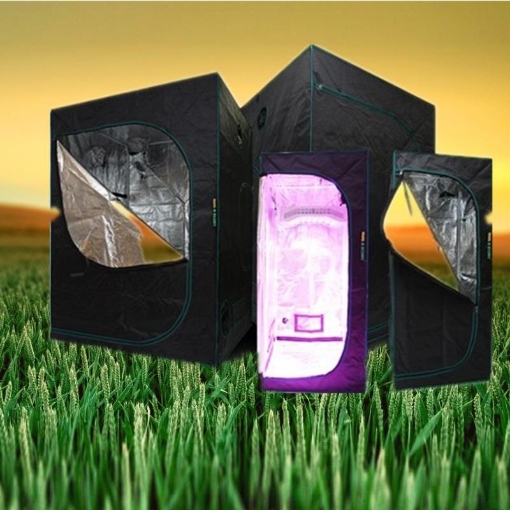 图片 Lều trồng cây 240*240*200 cm, Nhà trồng nấm, Vải 600D phản quang, Grow tent