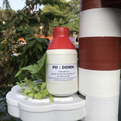 รูปภาพของ Dung dịch giảm độ PH PHD-500 ml, PH down, Điều tiết Căn chỉnh PH của nước