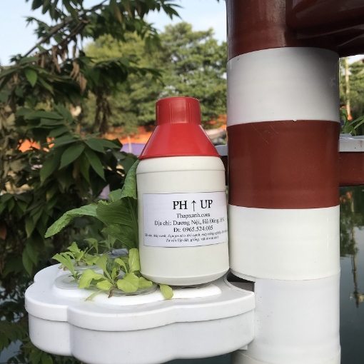 Gambar Dung dịch tăng độ PH PHU-500 ml, PH up, Điều tiết căn chỉnh PH của nước