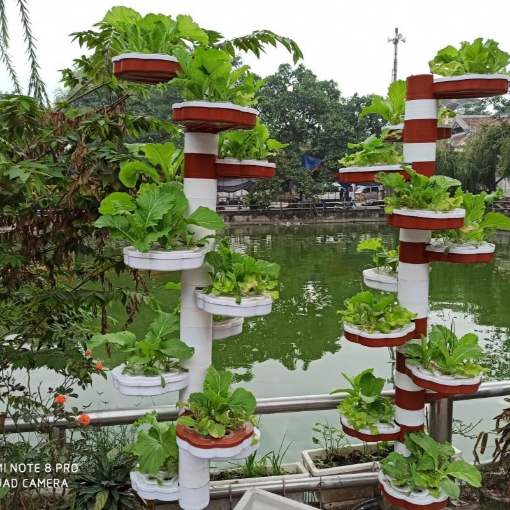 Ảnh của Thủy canh trụ đứng D50.TH 10 tầng 80 rọ, Trụ khí canh, Bộ tháp thủy canh, khí canh Tổ Ong