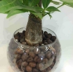 Ảnh của Sỏi nhẹ, Viên đất sét nung nở LECA-1216, Kích thước 12-16 mm, LECA Expanded clay pebbles