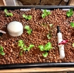 Ảnh của Sỏi nhẹ, Viên đất sét nung nở LECA-1216, Kích thước 12-16 mm, LECA Expanded clay pebbles
