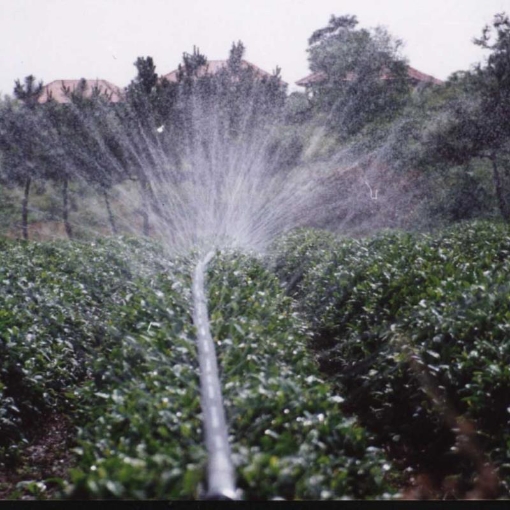 Ảnh của Dây tưới phun mưa N65x40.RAIN, Dây tưới phun mưa PE mềm dày 0.3mm 5 mắt D40