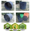 Gambar Đế bầu ươm DLV-50 cm, Tấm đáy lót dùng cho bầu ươm cây chuyên dụng, Lót đáy chậu cây