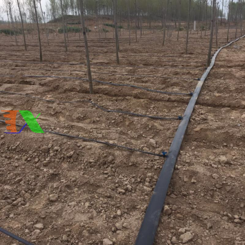 Tê cho ống PE Φ20 (20mm)