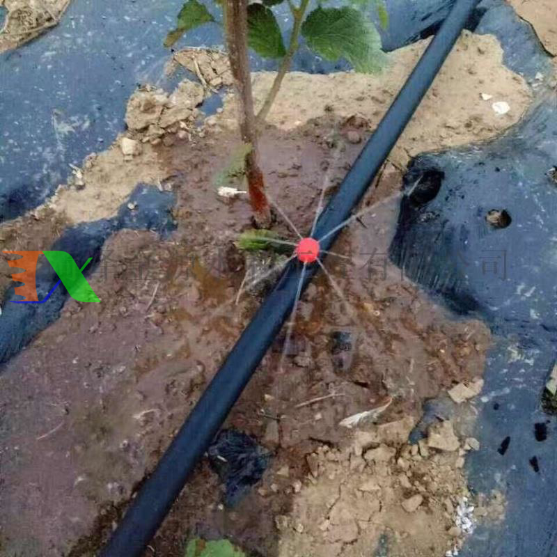 Tê cho ống PE Φ20 (20mm)