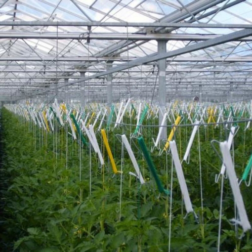 图片 Móc treo thép kèm 6m dây treo MDT-6, Móc treo dưa lưới, dưa leo, Dây treo cà chua