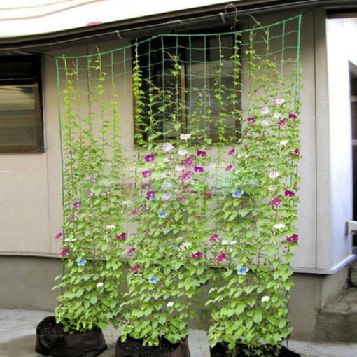 图片 Lưới làm giàn dây leo 0.9m x 1.8m OLN-09, lưới làm giàn cây Ollie net, Lưới làm vườn đa năng
