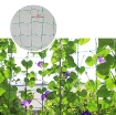图片 Lưới làm giàn dây leo 0.9m x 1.8m OLN-09, lưới làm giàn cây Ollie net, Lưới làm vườn đa năng