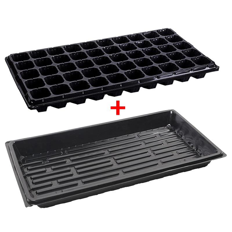 Khay 50 lỗ + Đáy chứa