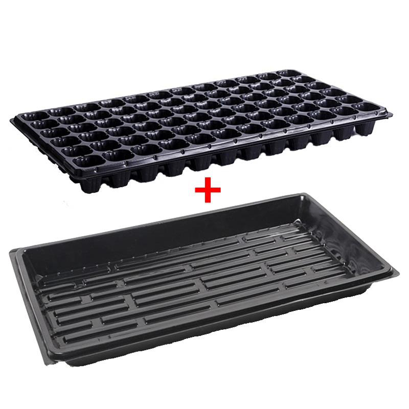 Khay 72 lỗ + Đáy chứa