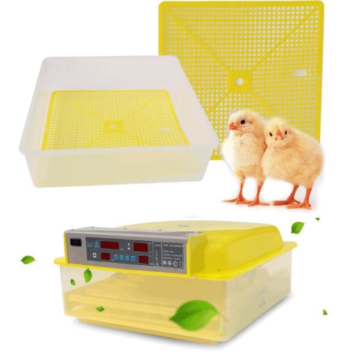 รูปภาพของ Máy ấp trứng tự động, Máy ấp trứng hẹn giờ, Ấp trứng Gà, Vịt, Bồ câu, Chim cút