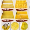 รูปภาพของ Máy ấp trứng tự động, Máy ấp trứng hẹn giờ, Ấp trứng Gà, Vịt, Bồ câu, Chim cút