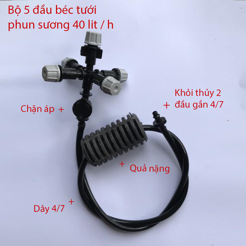 Tưới treo 5 Đầu tưới phun sương 40L/h, gân 4/7 [+14,000đ]