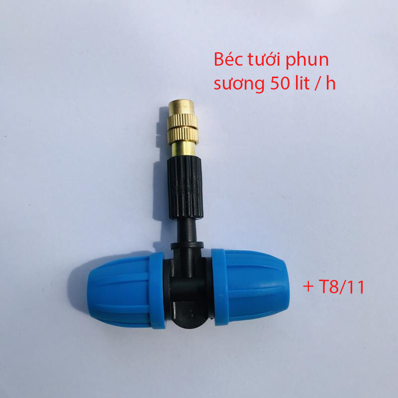 Kèm T8/11 [+2,900đ]