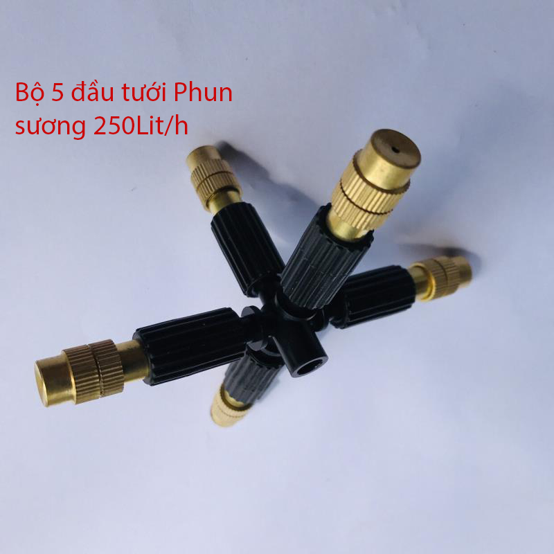 Bộ 5 đầu phun sương trơn 6mm [+21,300đ]