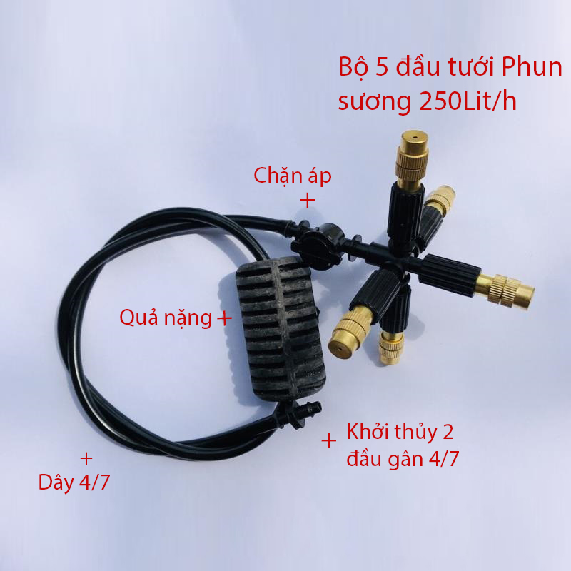 Tưới treo 5 Đầu tưới phun sương 250L/h, gân 4/7 [+28,000đ]