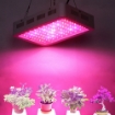 Gambar Đèn Led trồng cây GL-600W, Đèn led hỗ trợ trồng cây trong nhà, Led grow light full spectrum