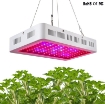 รูปภาพของ Đèn Led trồng cây đủ phổ GL-1000W, Đèn led hỗ trợ trồng cây trong nhà, Led grow light