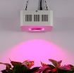 รูปภาพของ Đèn Led trồng cây đủ phổ COB-1, Đèn led hỗ trợ trồng cây trong nhà, Led grow light