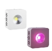 รูปภาพของ Đèn Led trồng cây đủ phổ COB-1, Đèn led hỗ trợ trồng cây trong nhà, Led grow light