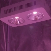 Picture of Đèn Led trồng cây đủ phổ COB-2, Đèn led hỗ trợ trồng cây trong nhà, Led grow light