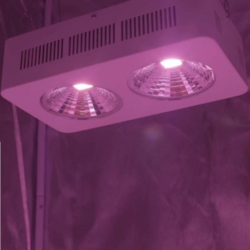 Picture of Đèn Led trồng cây đủ phổ COB-2, Đèn led hỗ trợ trồng cây trong nhà, Led grow light