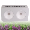 Picture of Đèn Led trồng cây đủ phổ COB-2, Đèn led hỗ trợ trồng cây trong nhà, Led grow light