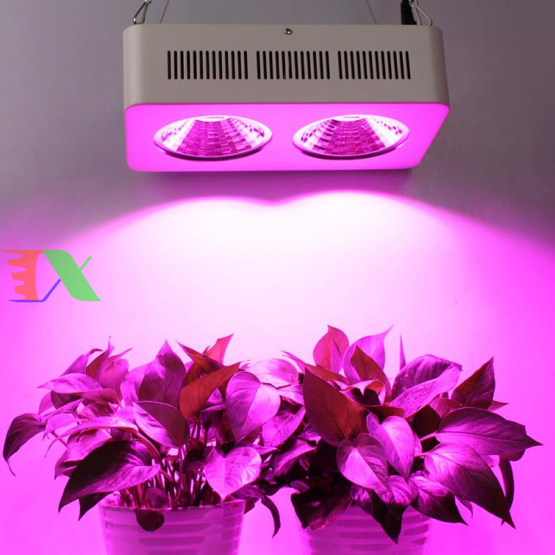 Đèn Led trồng cây trong nhà đủ phổ COB-2
