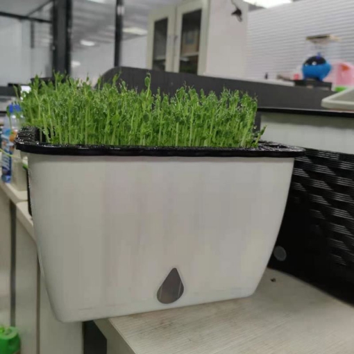 รูปภาพของ Khay trồng rau 2 lớp tự tưới KR-32, Chậu trồng rau thông minh có đáy chứa nước