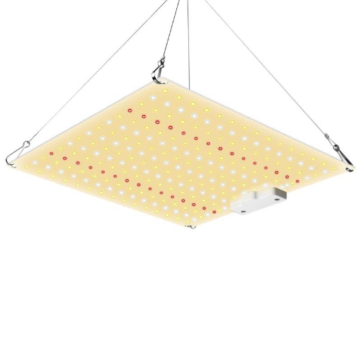 Ảnh của Đèn trồng cây Lượng tử QBC600, Led grow lights chip Samsung 600W, Đèn trồng rau trong nhà