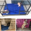 Picture of Tấm lót chuồng Pet size M 47*34*1cm, Sàn nhựa lót cho vật nuôi, thú cưng