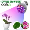 รูปภาพของ Đèn trồng cây, Đèn led trồng rau trong nhà, Led grow lights E27 10W
