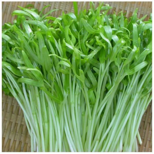 Ảnh của Hạt rau mầm rau muống Thái Lan siêu giòn ngọt -500g