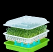 Ảnh của Bộ kit Khay trồng rau mầm thủy canh 3 lớp 3KM, Gồm Khay, Giá đỡ, Bình xịt, Hạt giống
