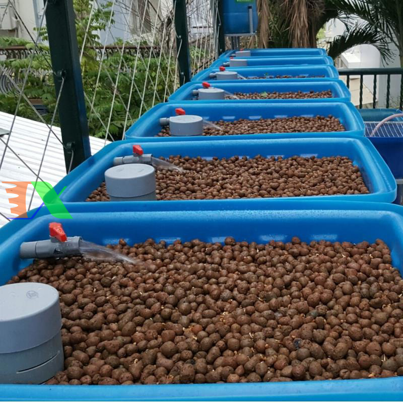 Khay nhựa trồng Aquaponics 100l