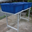 Ảnh của Khay nhựa trồng Aquaponics KAQ-100, Dung tích100l, Chậu trồng Aquaponics chuyên nghiệp