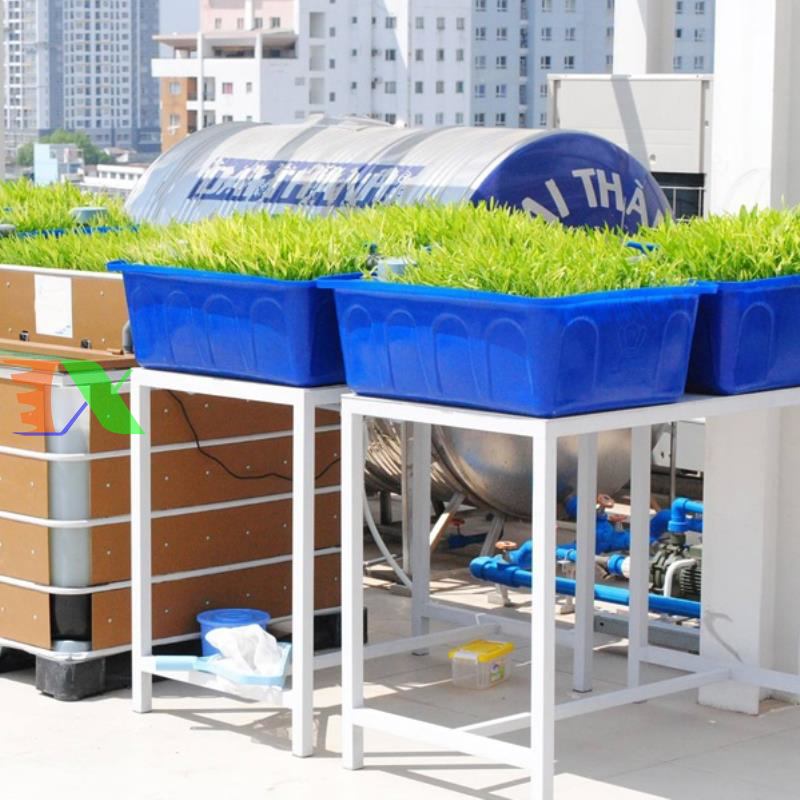 Khay nhựa trồng Aquaponics 100l