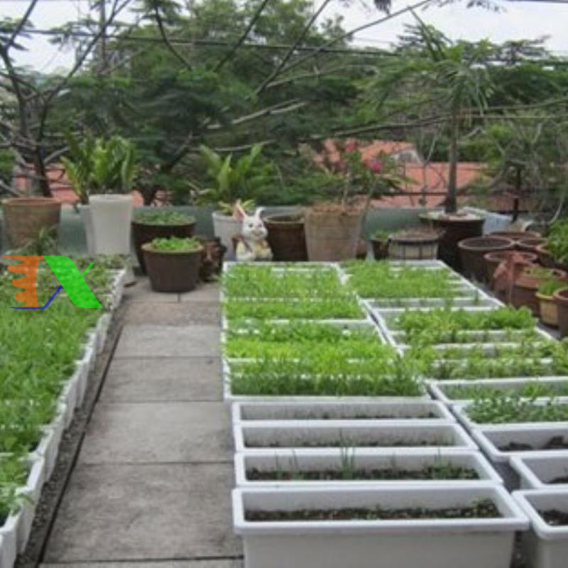 Khay, Chậu Thông Minh cỡ lớn (Trắng)